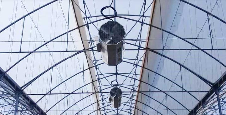 Bloom direct-fired greenhouse heaters