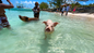  The fun doesn’t end there – this is a beach day you won’t forget. 
