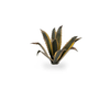 Gamers Grass Static Tuft Laser Plants - Agave