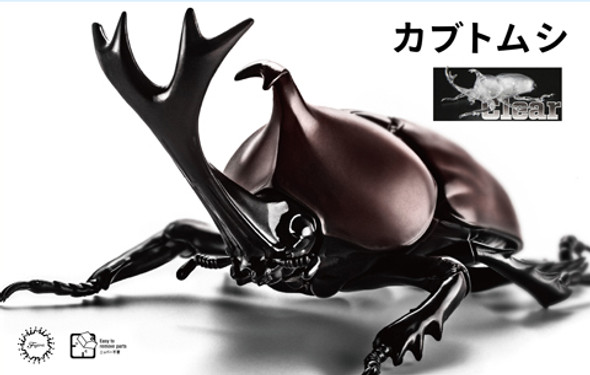 Fujimi Biology Edition Rhinoceros Beetle Clear Model Kit