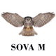 Sova-M