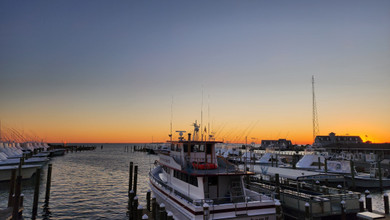 2025 Wrapped | Miss Lizzie's Recommends