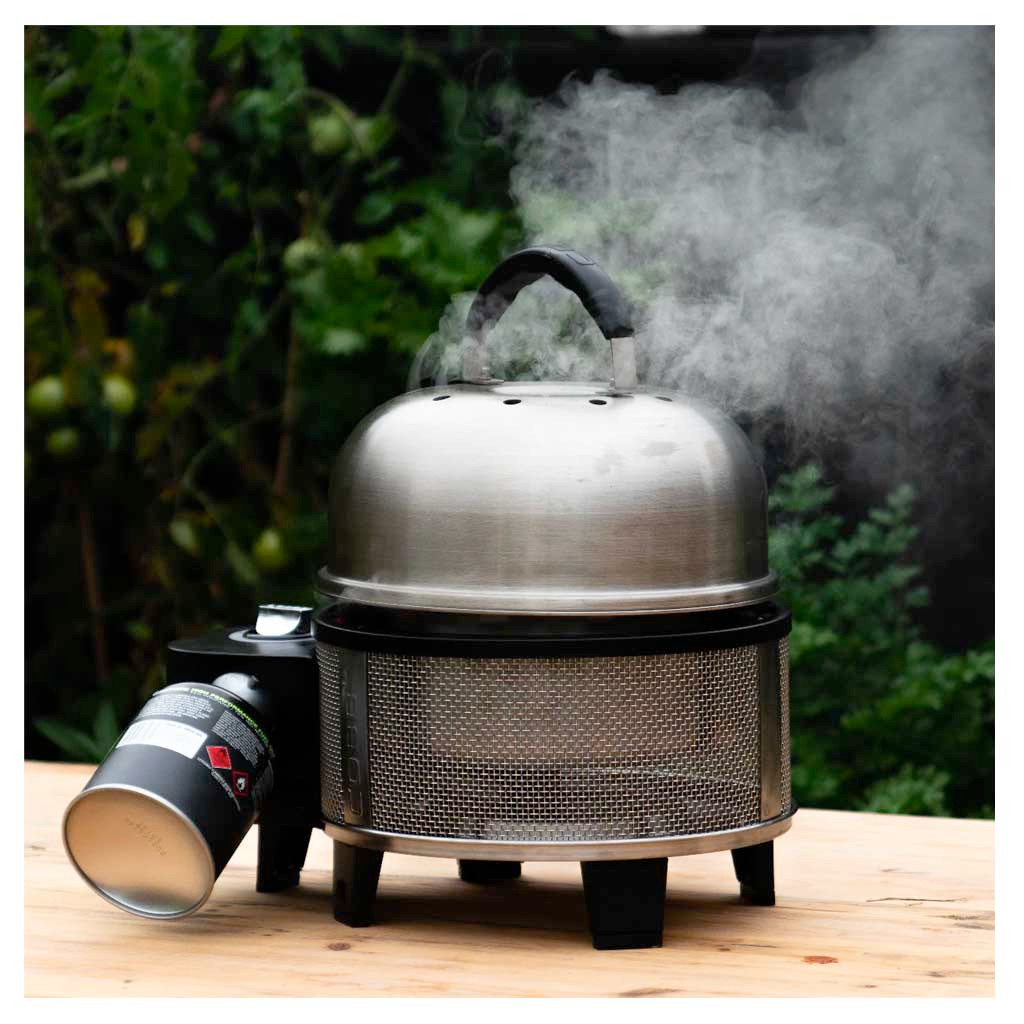 Gas Grills Cobb Bbq Grill Griddle COBB Grill Portable BBQ Cooking