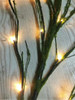 Mossy Branch Vibes Light branch