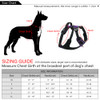 Vibe Therapy Pet Harness
