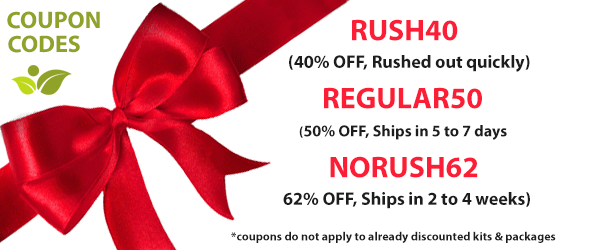 vibesup-holiday-coupon-banner-2025-4.png