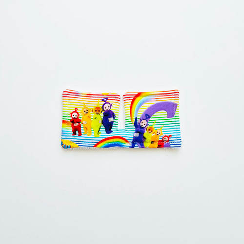 Teletubbies Oblong Trach