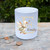 Granting Wishes Goose Money Box