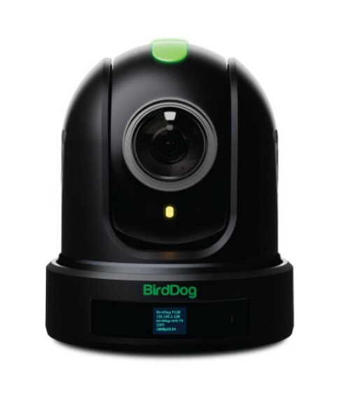 BIRDDOG P120 FULL NDI PTZ CAMERA (White or Black)