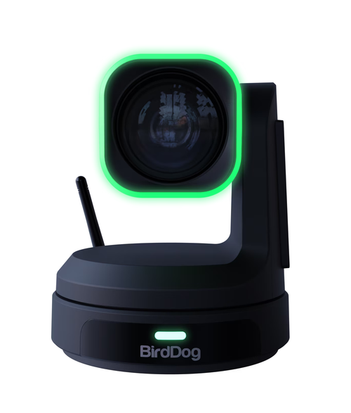 BirdDog X1 Ultra 12x 4K PTZ Camera (Black)