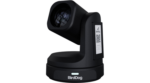BirdDog MAX UHD 4K Production PTZ Camera (Black)