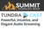 Summit Technology Group TundraCast™ Audio Streaming Gold - Annually