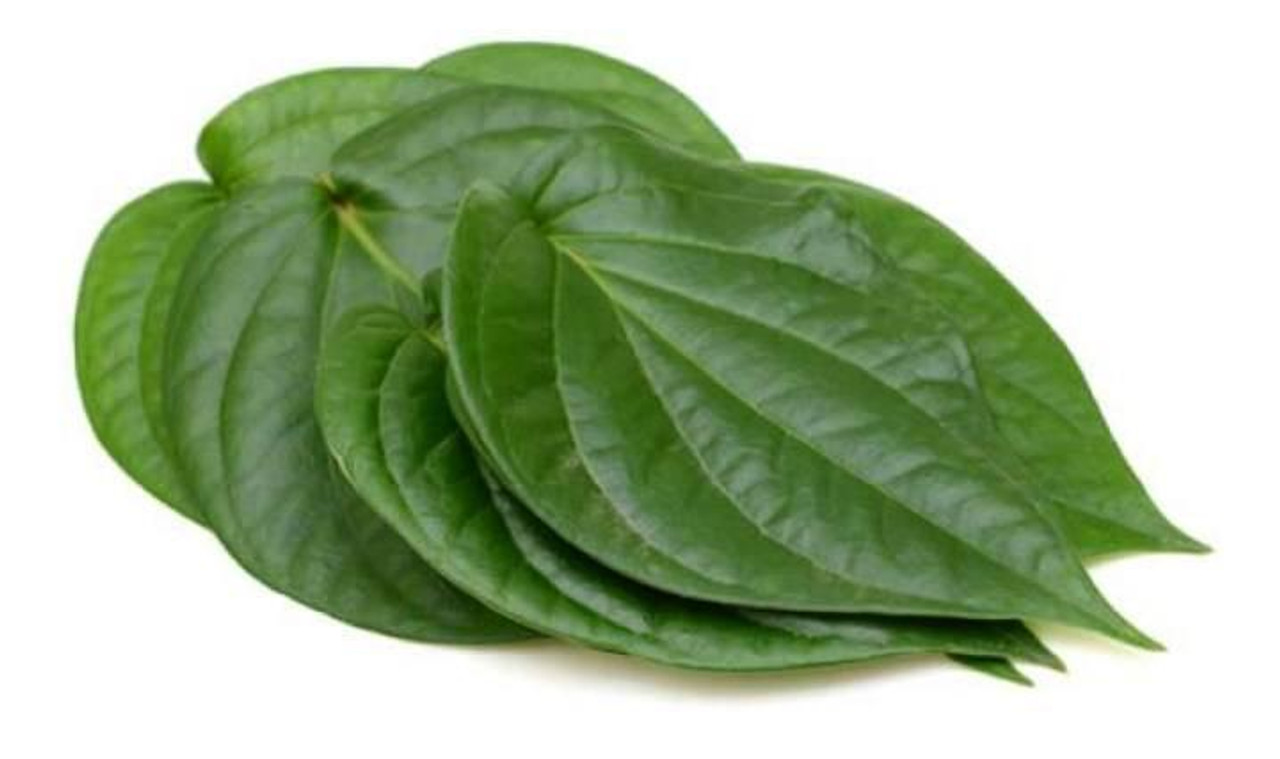 Betel Leaves/ Pan Leaves - 20 Ct - Vedic Indian Supermarket