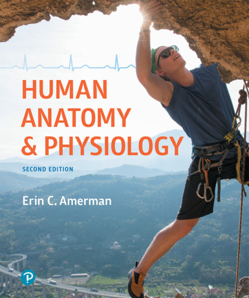 (PDF) Human Anatomy & Physiology
2nd Edition
Newer Edition Available (PDF) Human Anatomy & Physiology
2nd Edition
Newer Edition Available