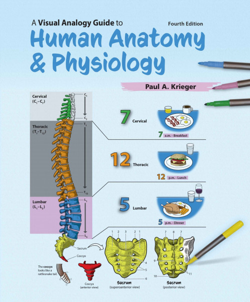 (PDF) A Visual Analogy Guide to Human Anatomy and Physiology
4th Edition (PDF) A Visual Analogy Guide to Human Anatomy and Physiology
4th Edition