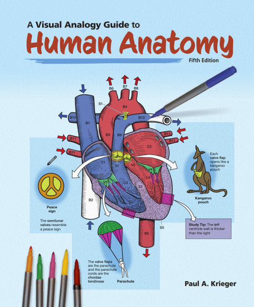 (PDF) A Visual Analogy Guide to Human Anatomy
5th Edition (PDF) A Visual Analogy Guide to Human Anatomy
5th Edition