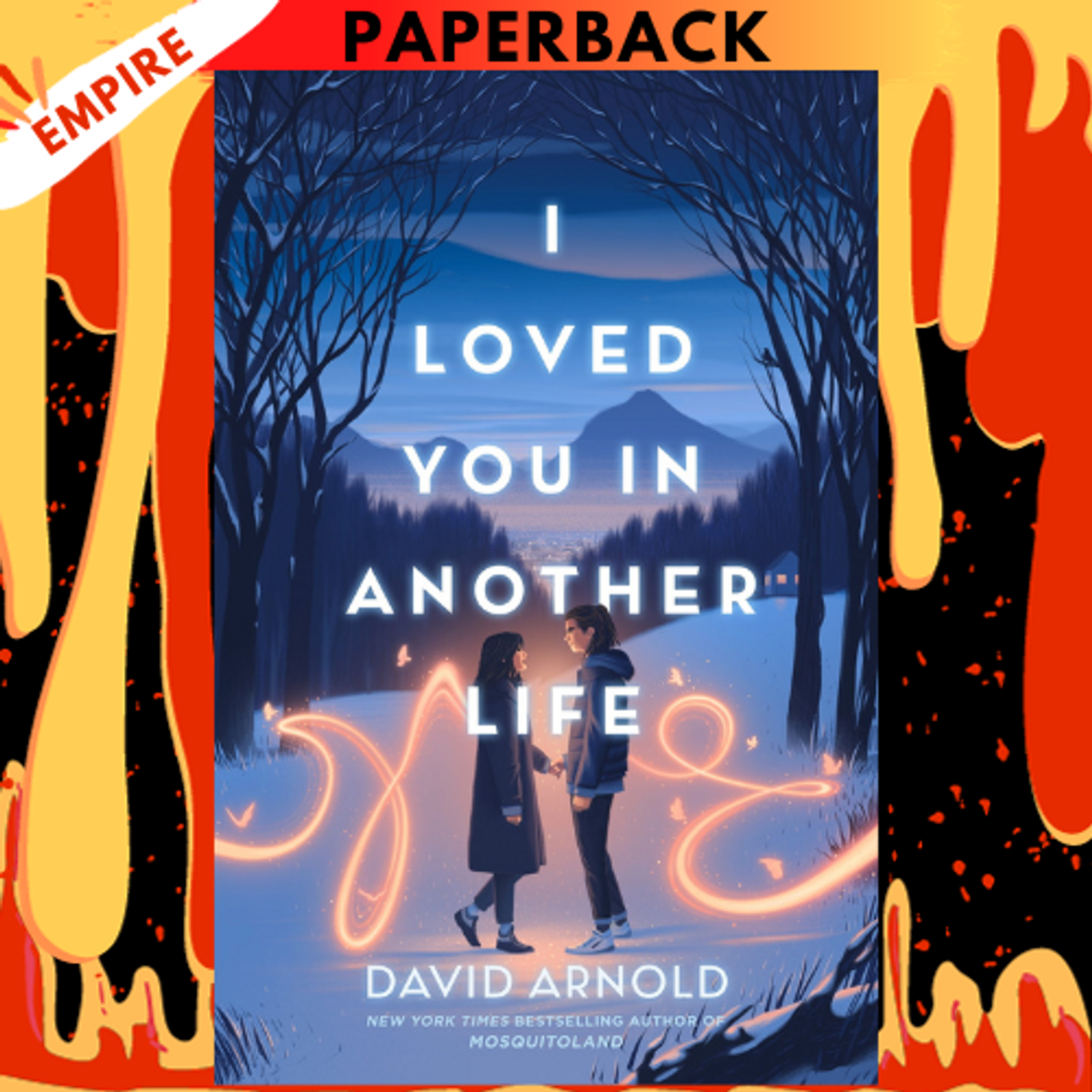 I Loved You in Another Life by David Arnold: 9780593524787