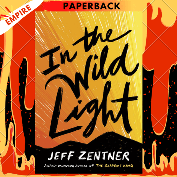 In the Wild Light by Jeff Zentner