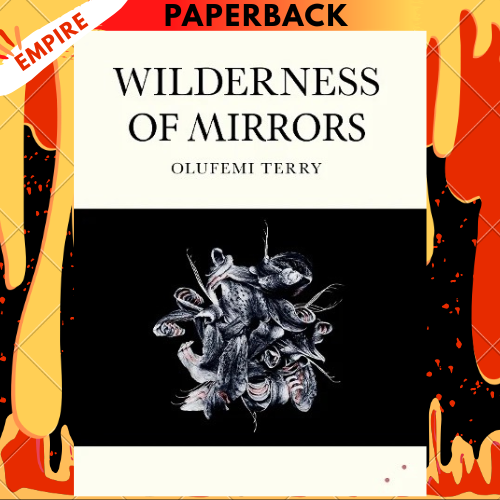 Wilderness of Mirrors by Olufemi Terry