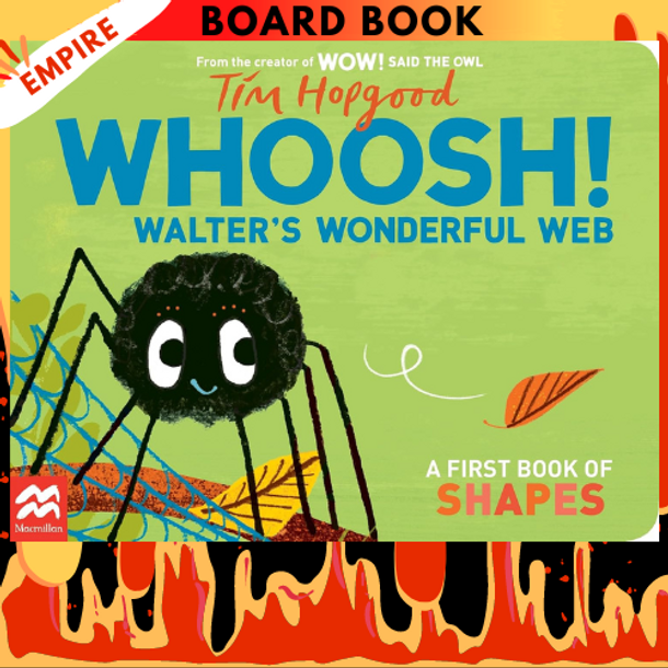 Walter's Wonderful Web: A First Book About Shapes by Tim Hopgood