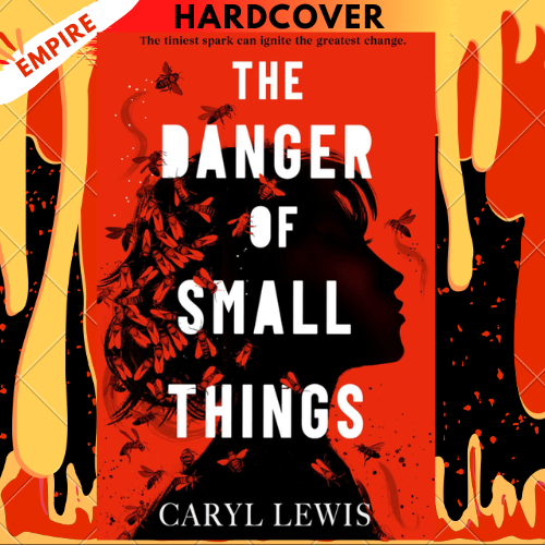 The Danger of Small Things by Caryl Lewis