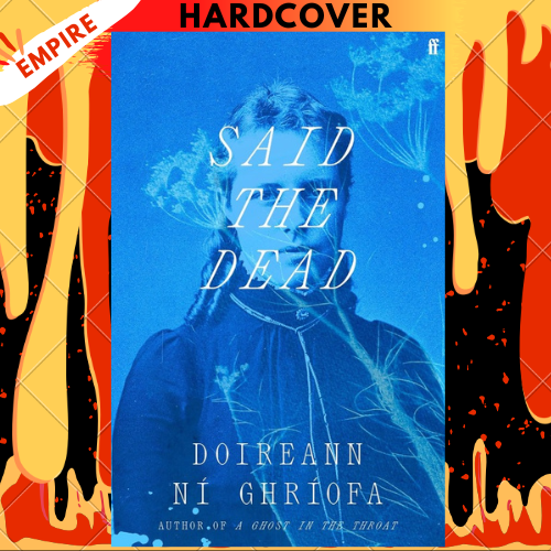 Said the Dea: The #1 Irish Times bestseller from the author of A Ghost in the Throat by Doireann Ni Ghriofa