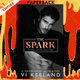 The Spark by Vi Keeland