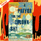 A Prayer for the Crown-Shy: A Monk and Robot Book by Becky Chambers