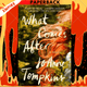 What Comes After: A Novel by JoAnne Tompkins