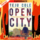 Open City by Teju Cole