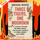 Three Tigers, One Mountain : A Journey through the Bitter History and Current Conflicts of China, Korea and Japan by Michael Booth