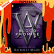 Vampire Academy: Blood Promise (book 4) by Richelle Mead
