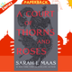 A Court of Thorns and Roses by Sarah J. Maas