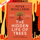 The Hidden Life of Trees : What They Feel, How They Communicate by Peter Wohlleben