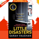 Little Disasters : the compelling and thought-provoking new novel from the author of the Sunday Times bestseller Anatomy of a Scandal by Sarah Vaughan