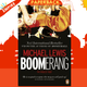 Boomerang by Michael Lewis