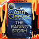 The Raging Storm (Detective Matthew Venn Novel #3) by Ann Cleeves