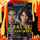 A Fragile Enchantment by Allison Saft
