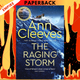 The Raging Storm (Detective Matthew Venn Novel #3)  by Ann Cleeves