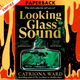 Looking Glass Sound  by Catriona Ward
