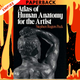 Atlas of Human Anatomy for the Artist by Stephen Rogers Peck