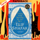 There Are Rivers in the Sky: A Novel by Elif Shafak