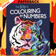Joy of Colouring by Numbers By CGP Books