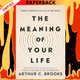 The Meaning of Your Life: Finding Purpose in an Age of Emptiness by Arthur C Brooks