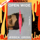 Open Wide: A Novel by Jessica Gross