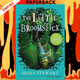 The Little Broomstick by Mary Stewart