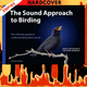 The Sound Approach to Birding: The Ultimate Guide to Understanding Bird Sound by Mark Constantine