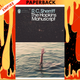 The Hopkins Manuscript  - Penguin Modern Classics by R.C. Sherriff