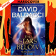The Stars Below by David Baldacci