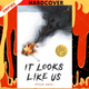 It Looks Like Us by Alison Ames